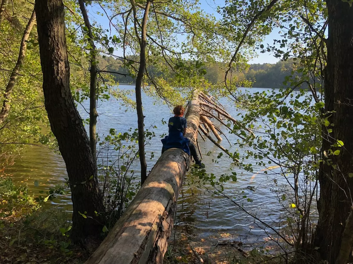 Wandern mit Kindern in Brandenburg2