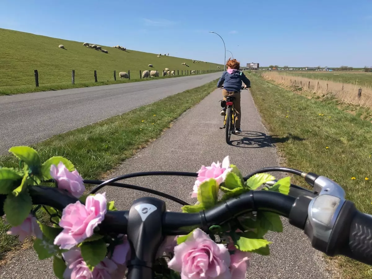 Radtour beim Familienurlaub in der Jugendherberge Friedrichstadt