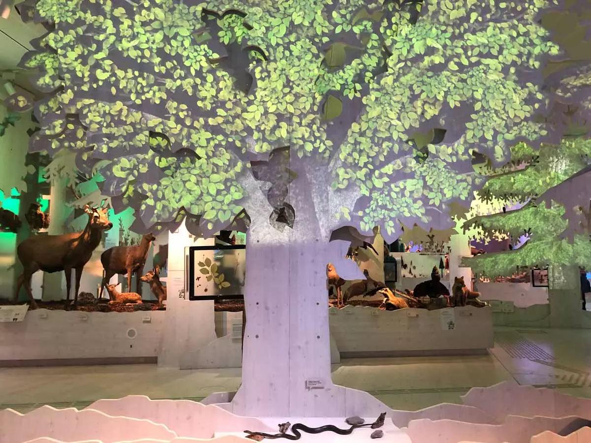 Berchtesgaden Sehenswürdigkeiten Haus der Berge