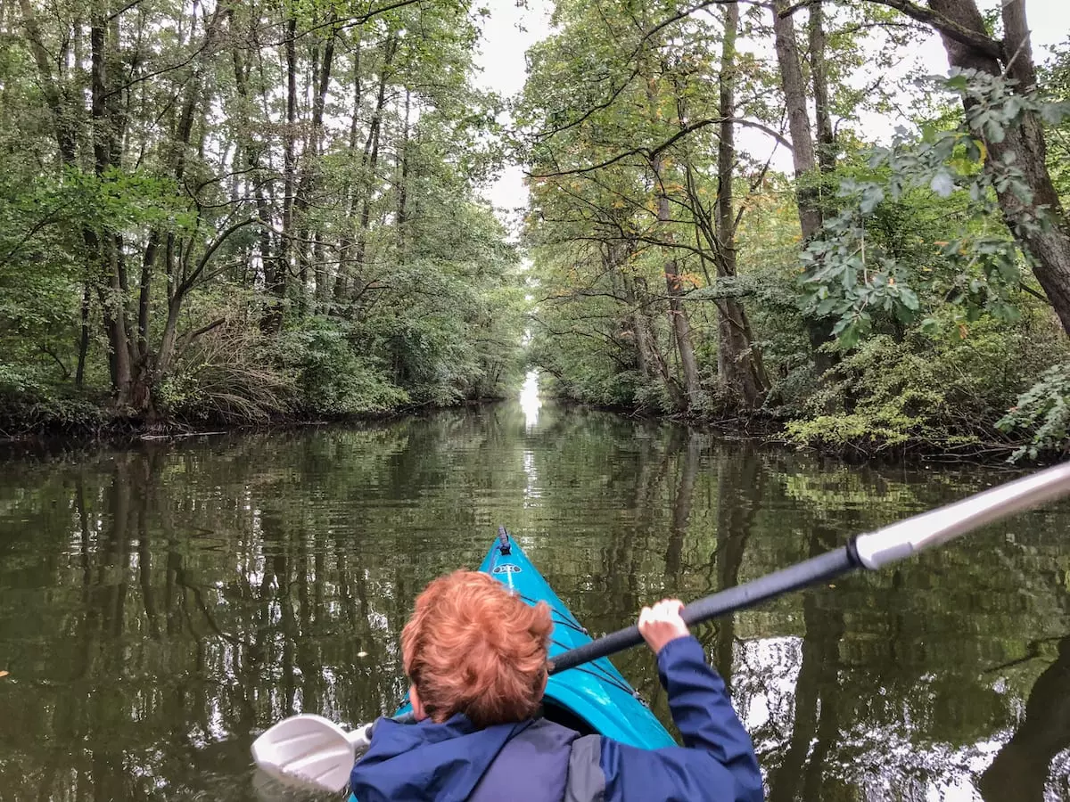 Müritz Nationalpark mit Kind - Urwald Kanutour Alte Fahrt