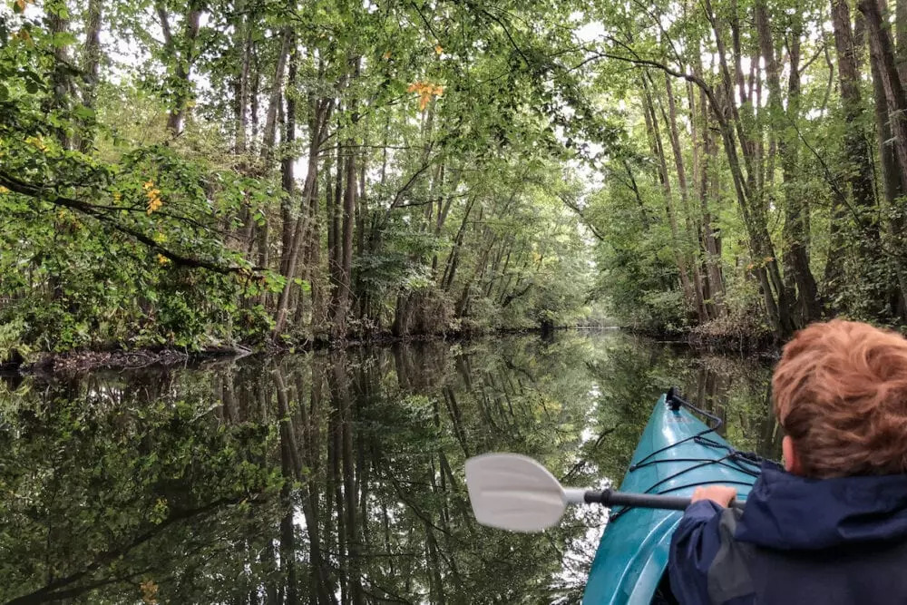 Ein rothaariges Kind mit dunkelblauer Outdoor-Jacke sitzt in einem Kajak auf einem ruhigen Fluss in einem mitteleuropäischem Urwald und hält ein Paddel.