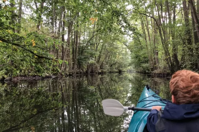 Ein rothaariges Kind mit dunkelblauer Outdoor-Jacke sitzt in einem Kajak auf einem ruhigen Fluss in einem mitteleuropäischem Urwald und hält ein Paddel.