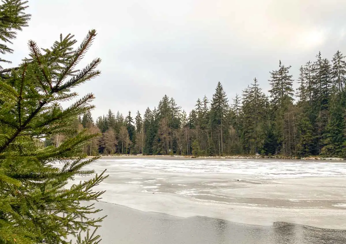 Der teilweise zugefrorene See Karches, umgeben von Fichten unter einem bewölkten Himmel, mit Tannenzweigen im Vordergrund auf der linken Seite im Fichtelgebirge.
