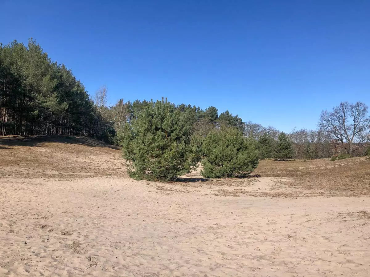 Brandenburg: Wandern durch die Glindower Alpen zum See