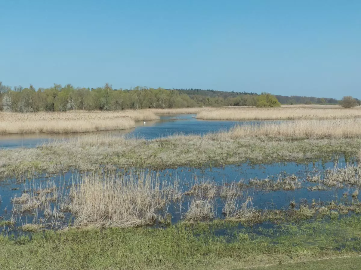 Nationalpark Unteres Odertal: Wandern und Fahrrad fahren am Fluss