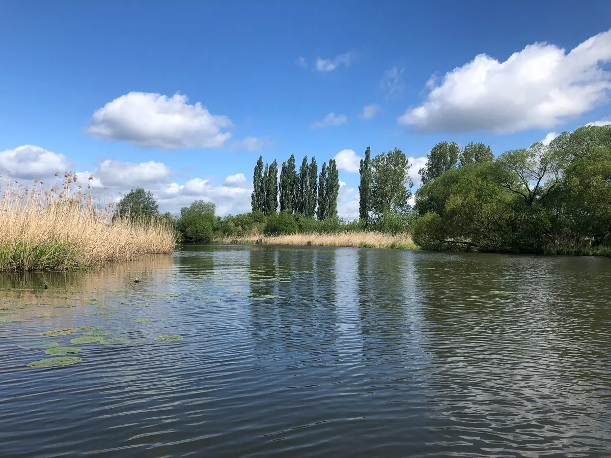 Weite Flusslandschaft bei Lenzen an der Elbe im Brandenburg-Urlaub