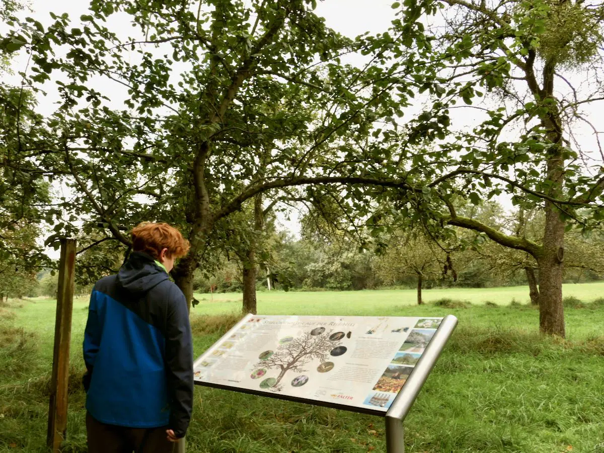 Ausflug in Mannheim mit Kindern zur Reissinsel 