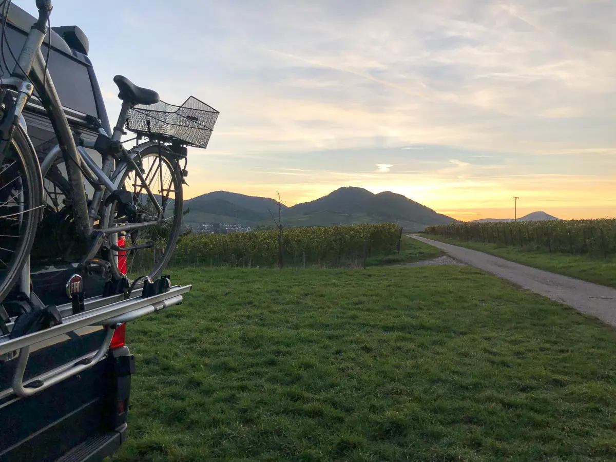 Pfalz-Roadtrip mit Weinstraße und Pfälzerwald: Sehenswürdigkeiten der Südpfalz