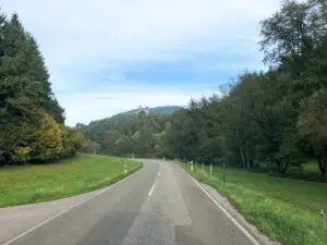 Straße im Pfälzerwald mit Blick auf Burg