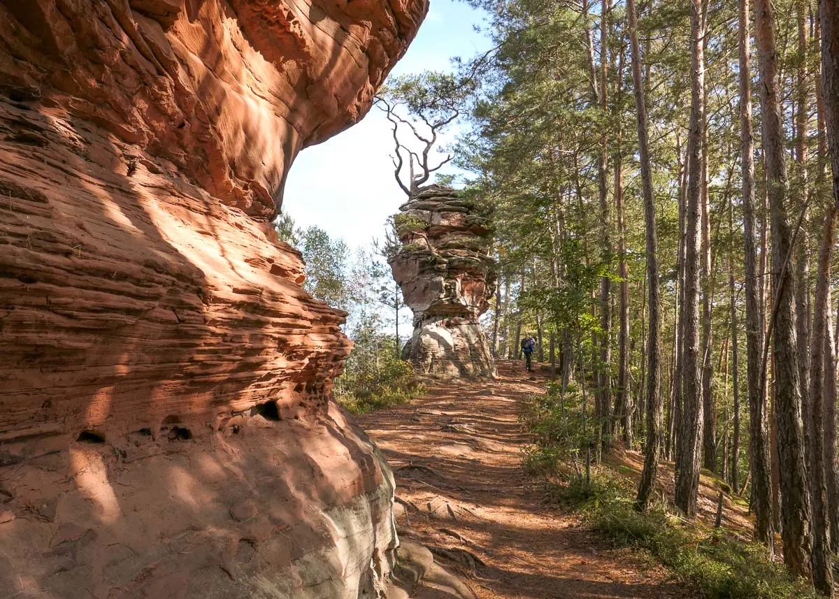 Pfälzerwald: Wandern im Dahner Felsenland und Umgebung