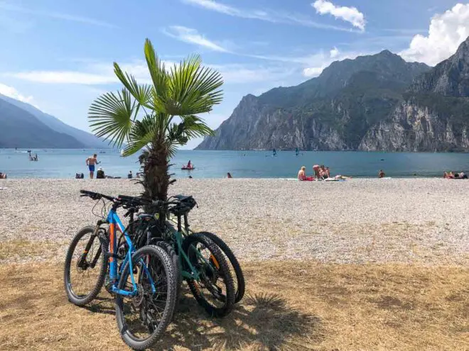 Fahrräder unter Palmen am Gardasee Strand mit Bergen im Hintergrund