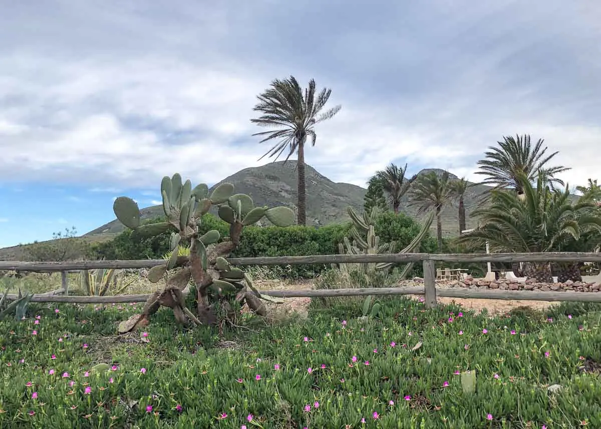 Landschaft beim Camping Los Escullos