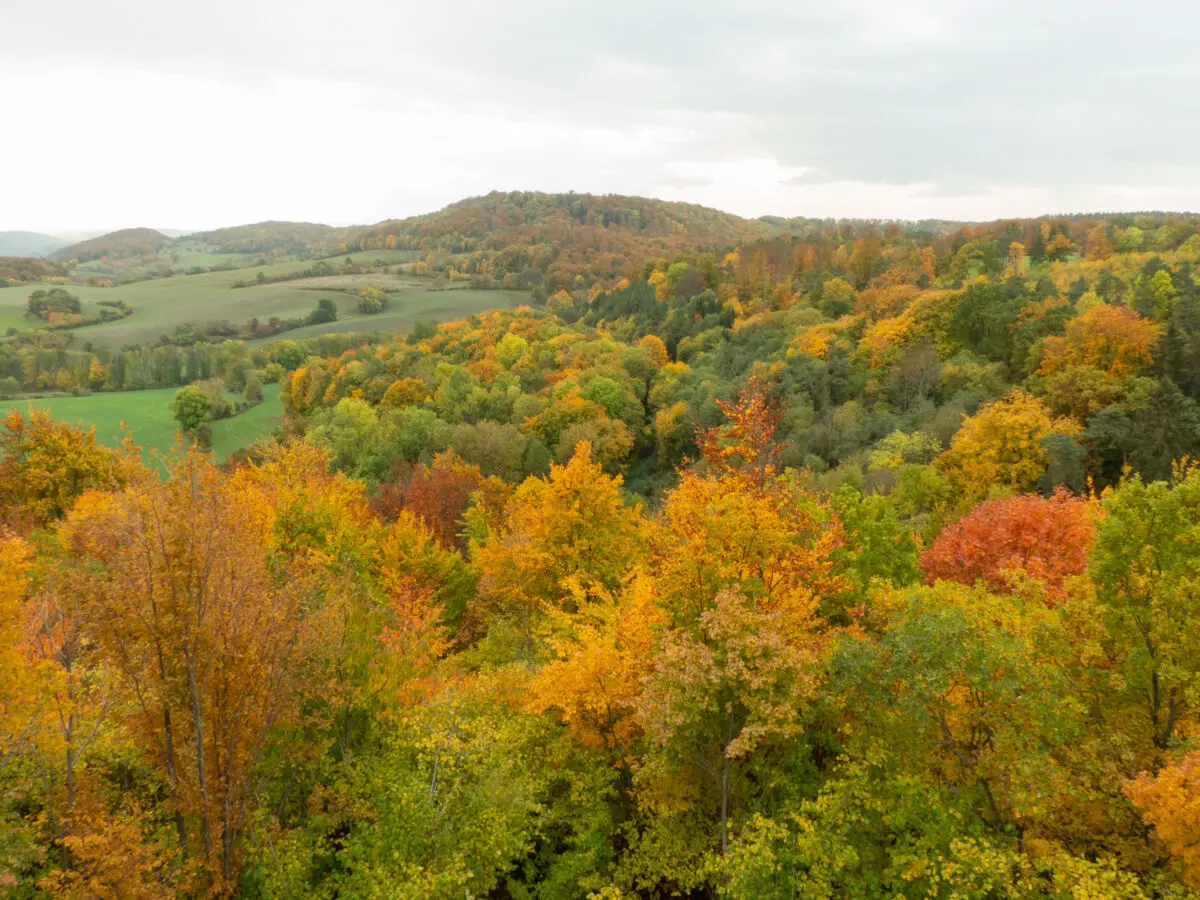 Bunte hügelige Herbstlandschaft