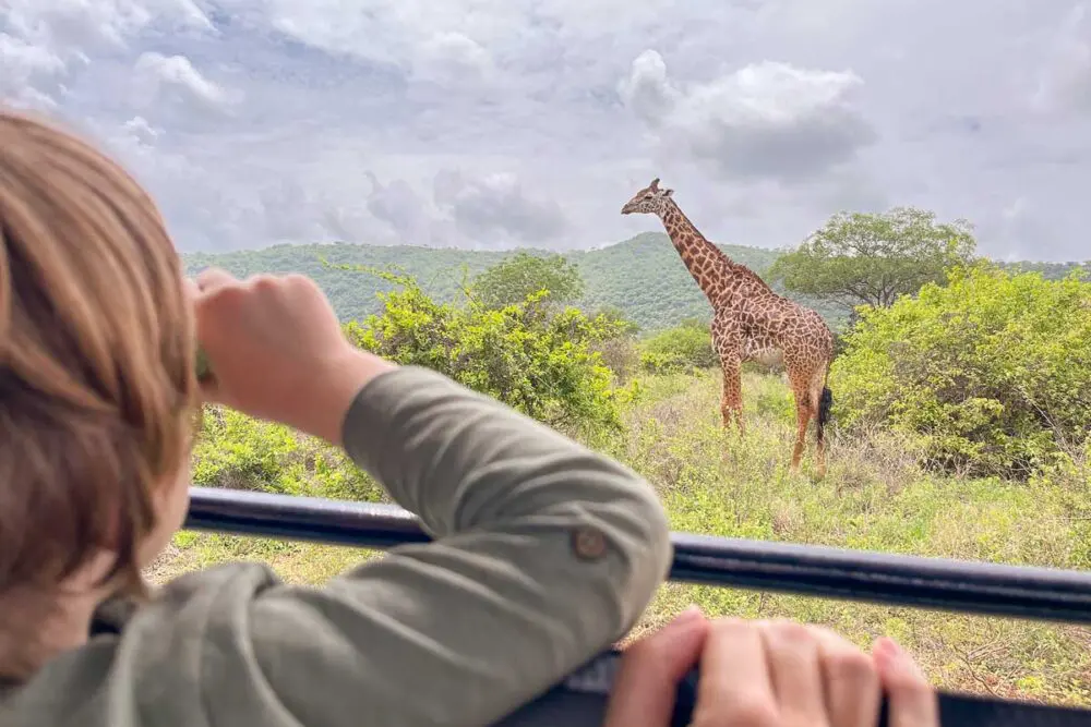 Ein Kind betrachtet vom Fahrzeug aus durch ein Fernglas eine Giraffe, die in einer grasbewachsenen, grünen Landschaft unter einem wolkenverhangenen Himmel steht - ein unvergesslicher Moment auf Safari in Kenia während eines Familienurlaubs.