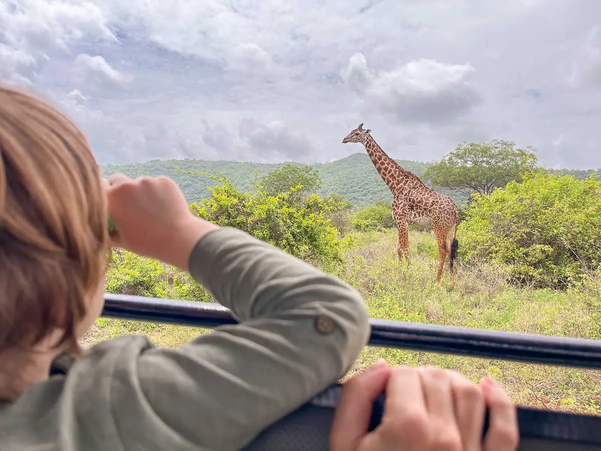 Kenia mit Kind – 20 Tage bei Simba und Co.