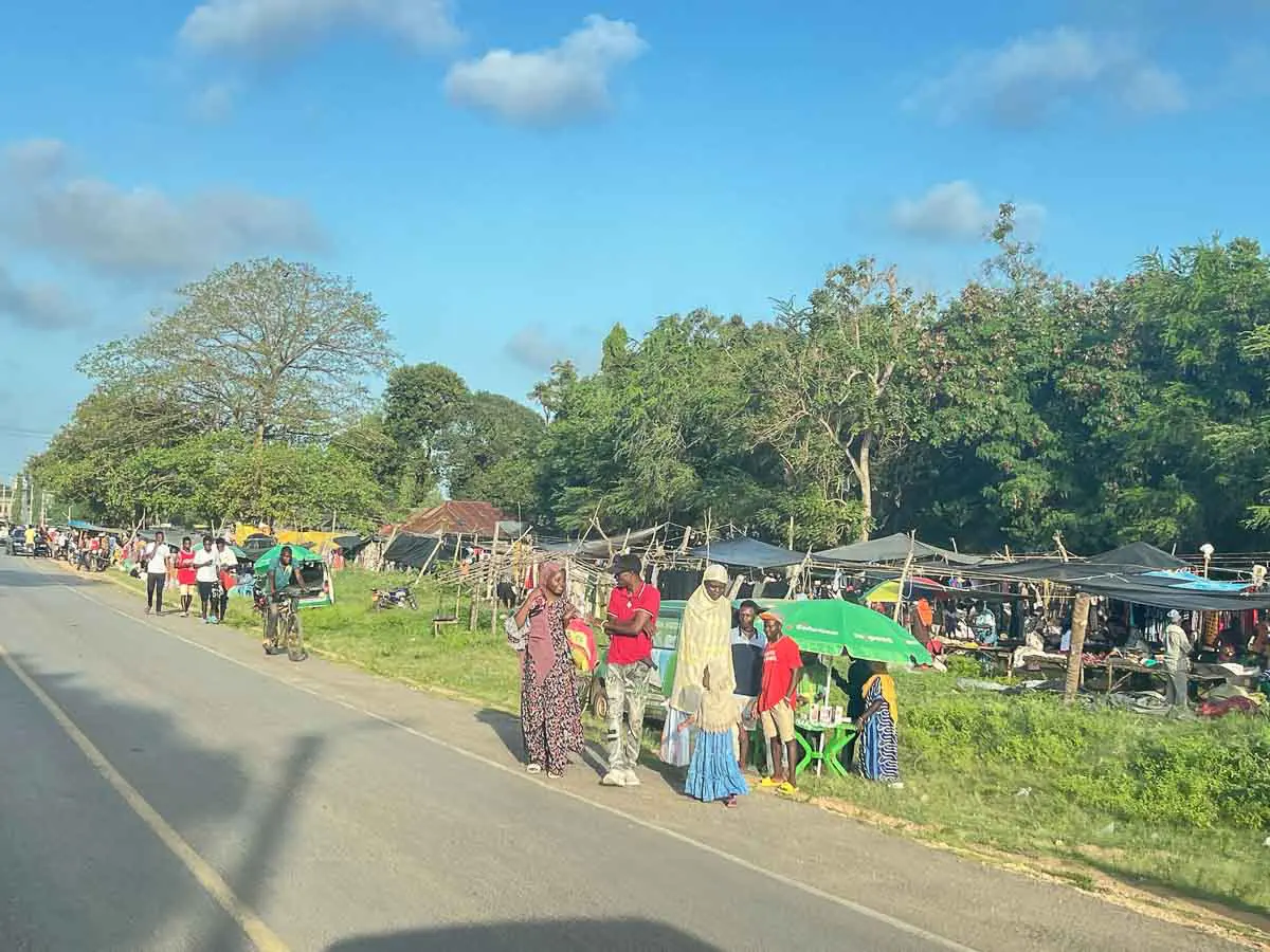 Eine Marktszene am Straßenrand mit Menschen, die in der Nähe von Ständen und Zelten spazieren gehen und einkaufen. Im Hintergrund sind Bäume und Grünflächen zu sehen, der Himmel ist blau.