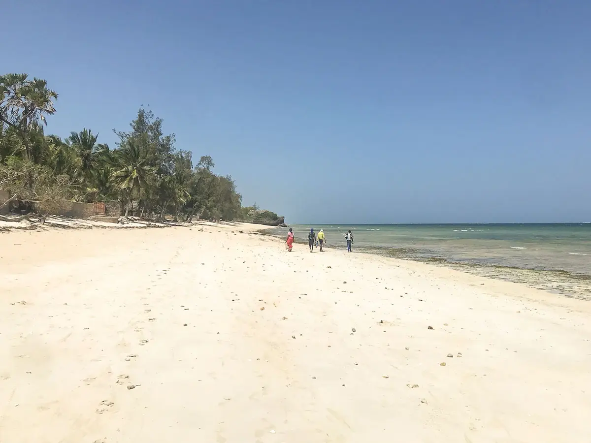 Ein breiter Sandstrand, an dem ein paar Menschen spazieren gehen; Palmen und andere Grünpflanzen säumen die linke Seite. Klarer blauer Himmel über ruhigem Meer auf der rechten Seite trifft.
