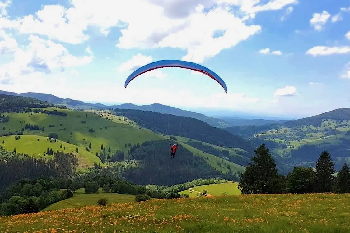 Ein Gleitschirmflieger schwebt hoch über sanften grünen Hügeln und Wiesen mit gelben Blumen - eine ideale Szene für ein Reiseabenteuer oder einen Abenteuerurlaub mit Kindern vor den majestätischen, bewaldeten Bergen und dem blau-weißen Himmel.