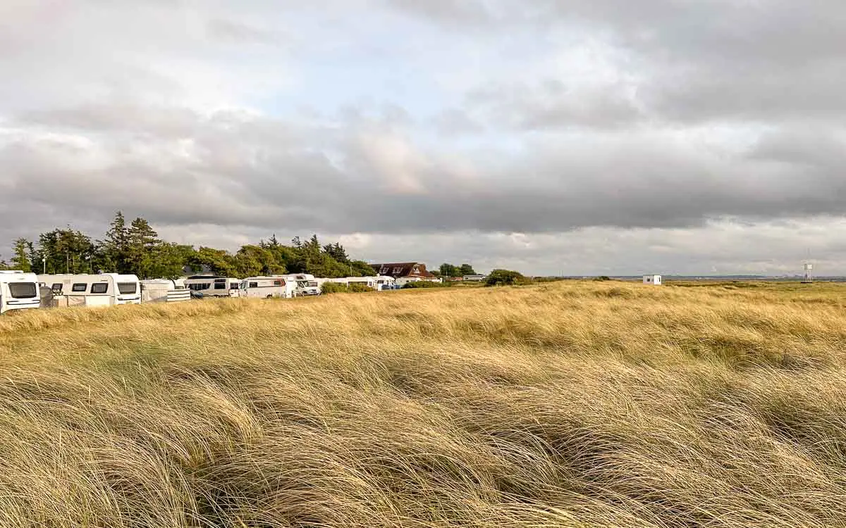 Mehrere Wohnmobile und Wohnwagen stehen auf einem Campingplatz am Rand der Dünen mit hohem, goldgelbem Gras unter einem wolkenverhangenen Himmel, ideal für alle, die Ostsee Camping suchen, mit Bäumen und ein paar Häusern im Hintergrund.