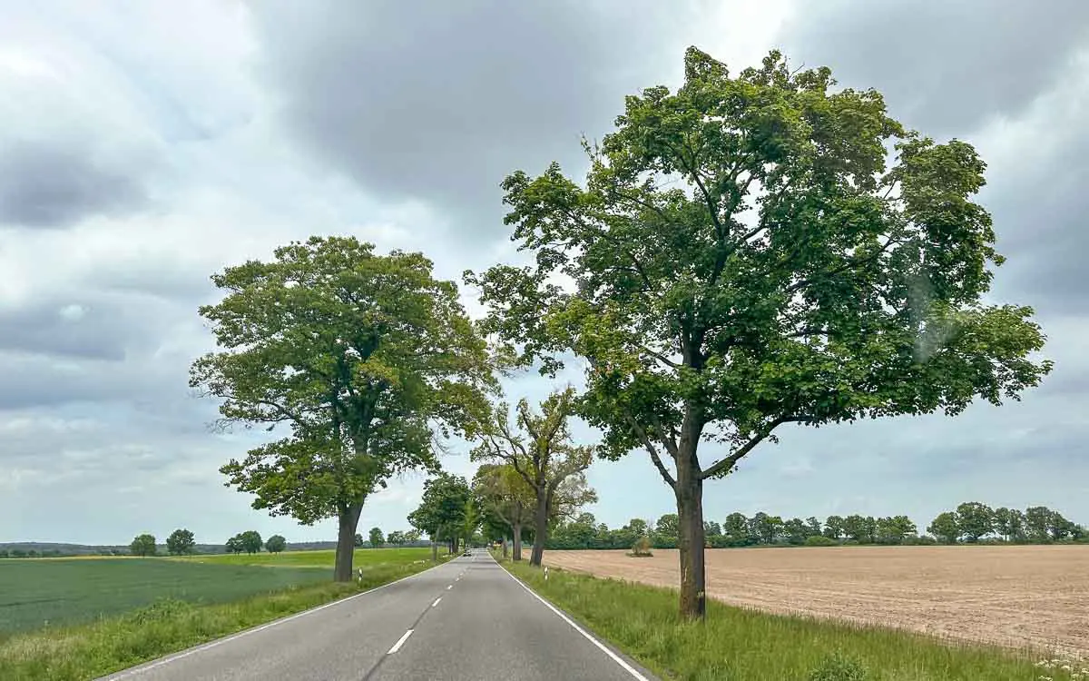 Eine gerade Landstraße im Havelland, gesäumt von hohen grünen Bäumen, erstreckt sich in die Ferne; links liegen grüne Felder, rechts ein gepflügtes braunes Feld unter einem bewölkten Himmel.