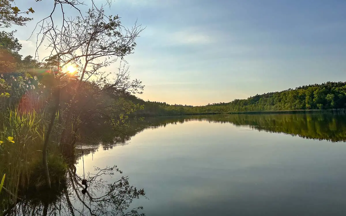 Ein ruhiger See im Havelland, umgeben von üppig grünen Bäumen, während die Sonne links hinter einem Baum untergeht und unter klarem Himmel Spiegelungen auf dem stillen Wasser hinterlässt.