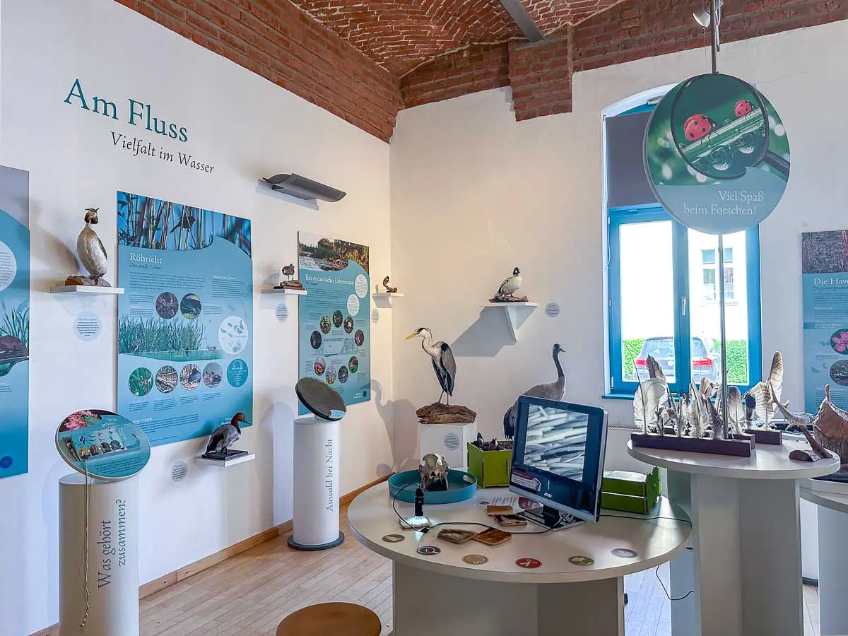 Ein Naturausstellungsraum im familienfreundlichen Naturparkzentrum im Westhavelland mit Tiermodellen, Informationstafeln über die Tierwelt am Fluss, einem Computer auf einem runden Tisch sowie Vogel- und Insektenausstellungen; Sonnenlicht fällt durch ein Fenster auf Holzböden und Backsteinwände.