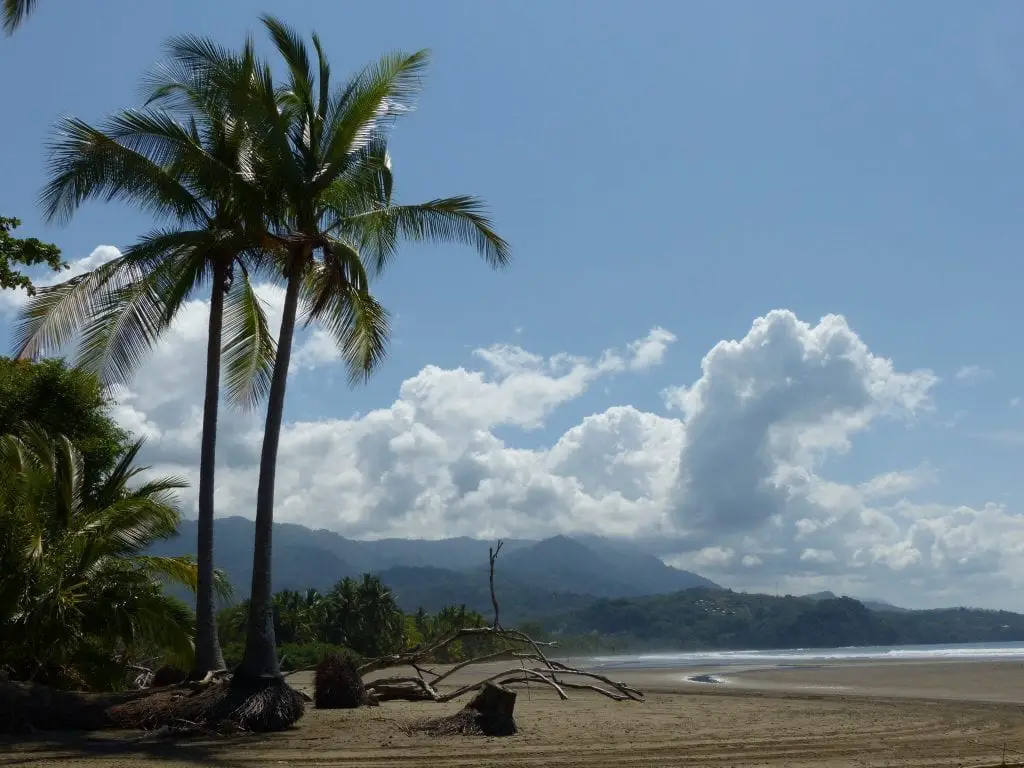 Palmenstrand, Pazifik, Uvita - Rundreise Costa Rica mit Kindern