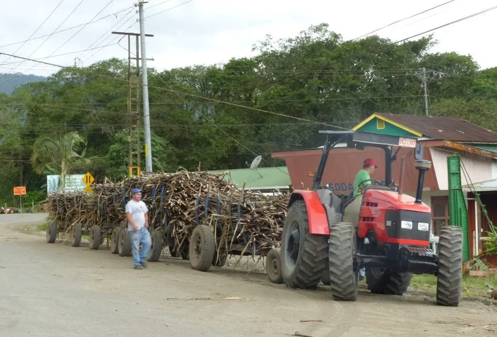 Zuckerrohr-Ernte, Turrialba - Costa Rica