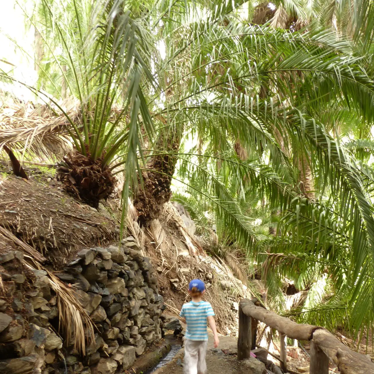 Gran Canaria Palmenhain Wandern mit Kindern