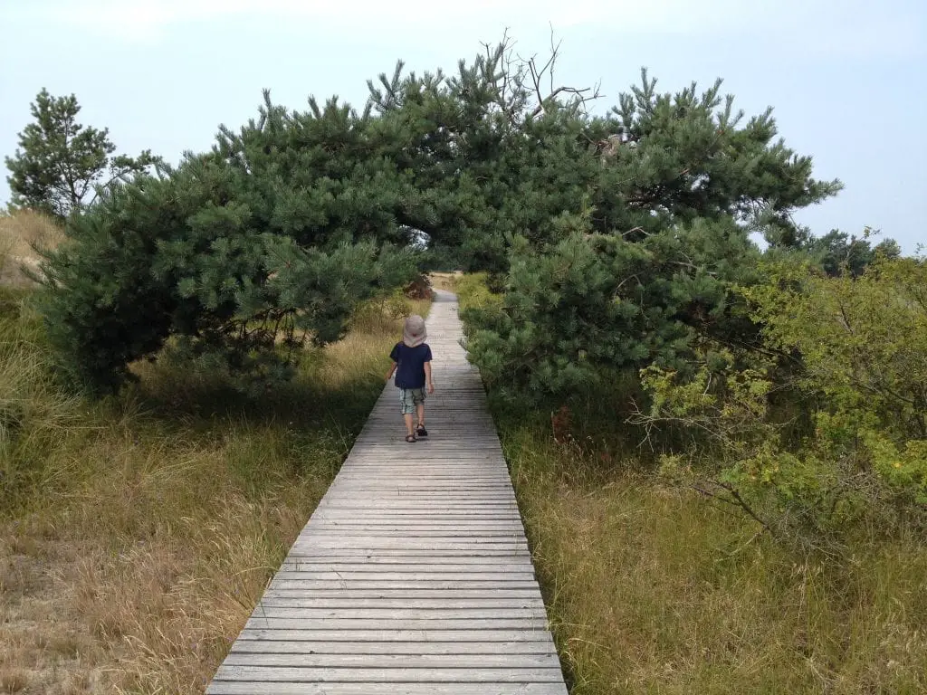 Fischland-Darß-Zingst Aktivurlaub mit Kindern - Wandern am Darre Ort - Ostsee mit Kind