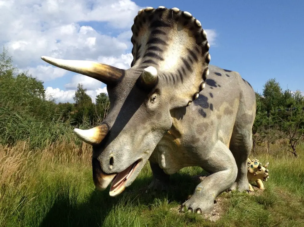 Triceratops im Dinosaurierpark Germendorf