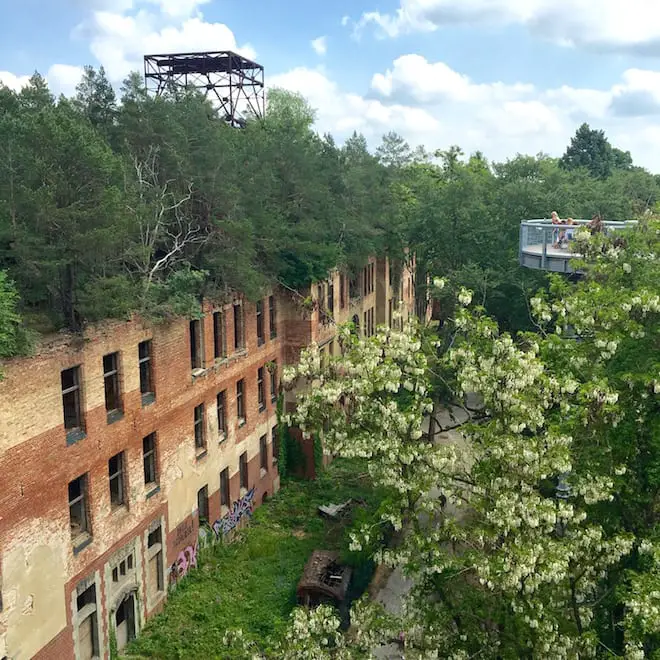 Baumkronenpfad Beelitz-Heilstätten-Frühling