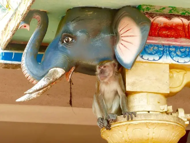 Affe an Elefantenskulptur in Kuala Lumpur - bei Familienreisen nach Asien kein seltener Anblick
