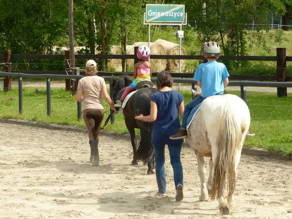 Reiten mit Kindern in Polen - Training mit Pferden