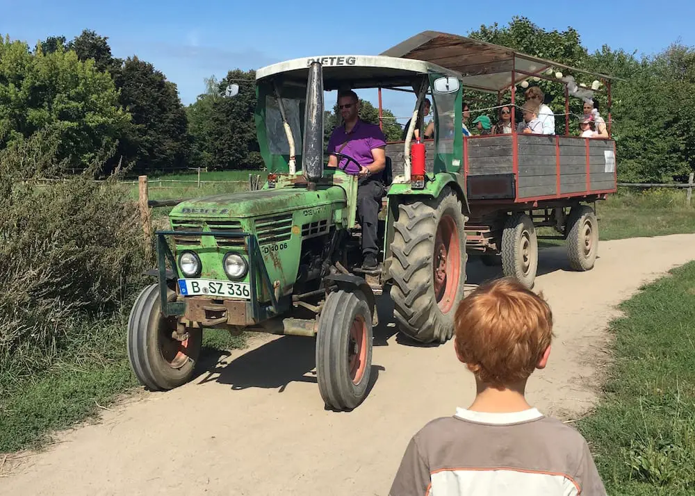 Domäne Dahlem mit Kindern in Berlin - Traktorfahrten