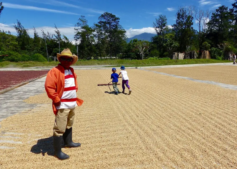 Familienreise Panama mit Kindern Kaffeetour Volcan
