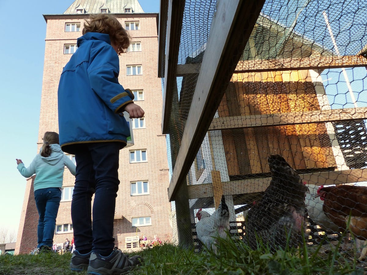 Jugendherberge Wangerooge mit Kindern beim Hühnerfuttern