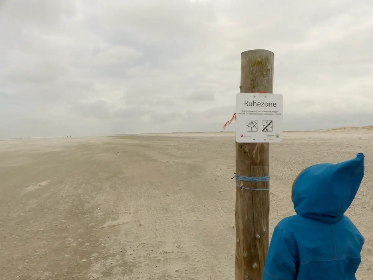 Norderney naturnah: Mit Kind wandern im Nationalpark