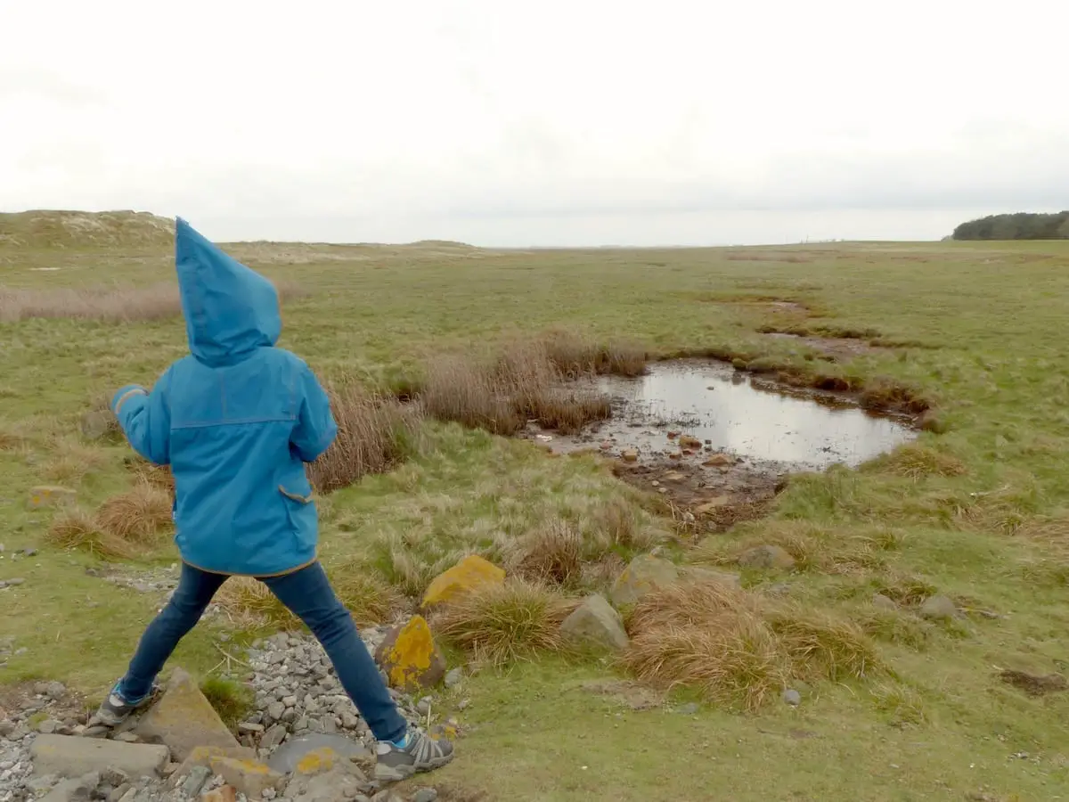Norderney naturnah - Wandern mit Kind im Inselosten