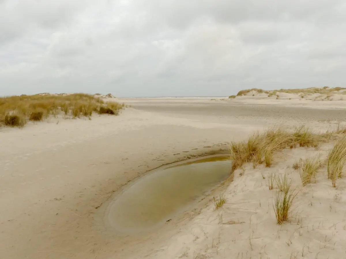 Norderney naturnah: Dünenlandschaft im Inselosten