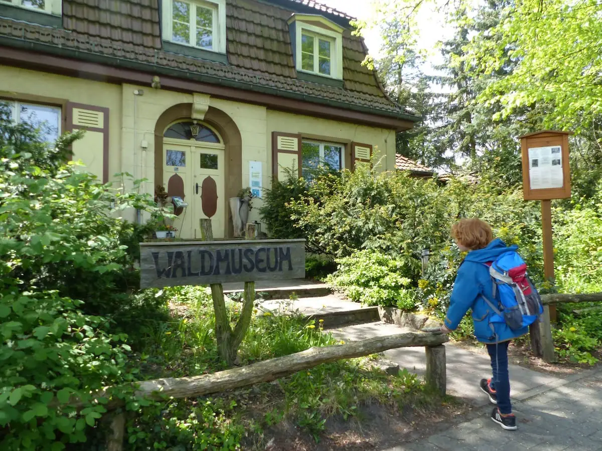 Berlin mit Kind - Waldmuseum 