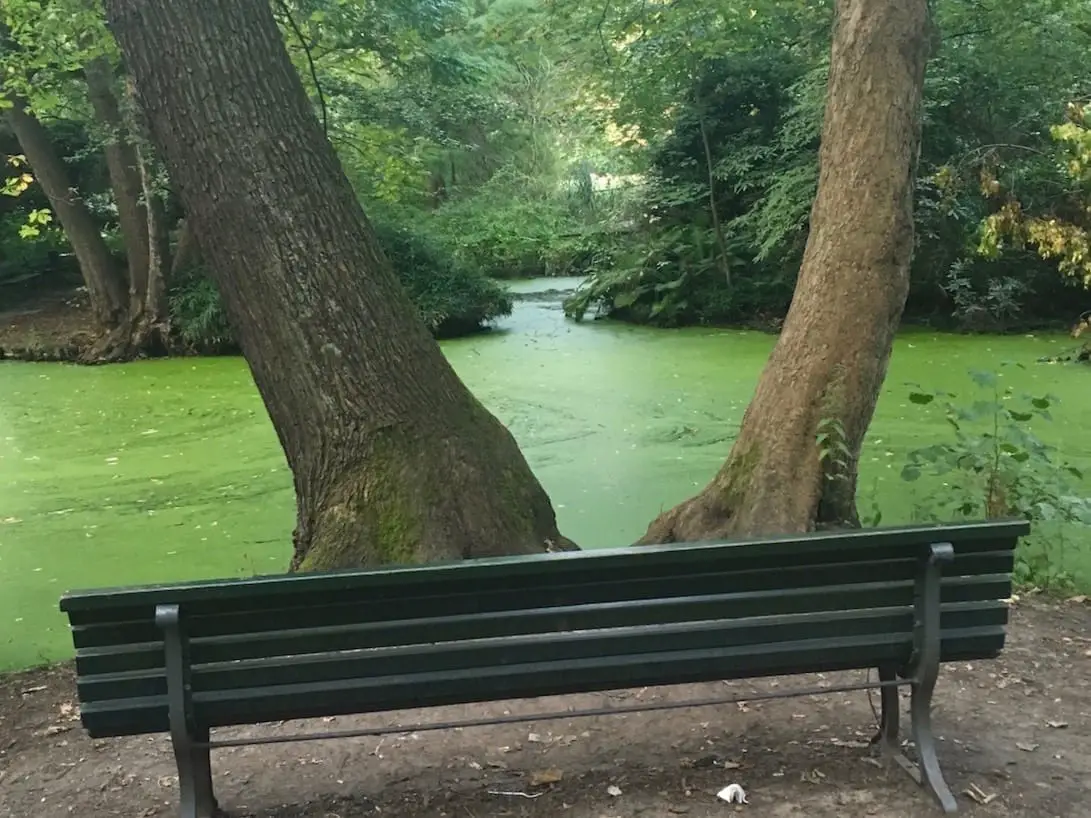 Städtereisen mit Kindern in Berliner Parks - Bank im Tiergarten