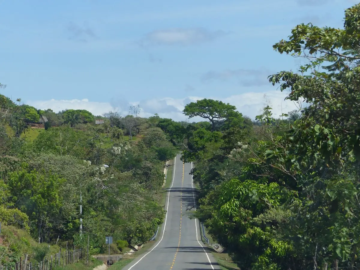 Panama Roadtrip Kinder - lange gerade Straße