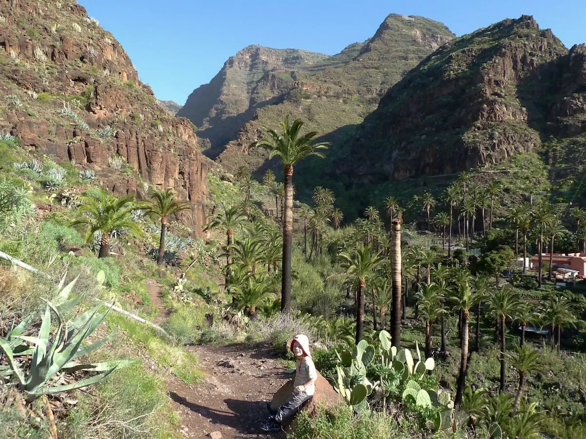 Wandern mit Kind auf Gomera - Palmental