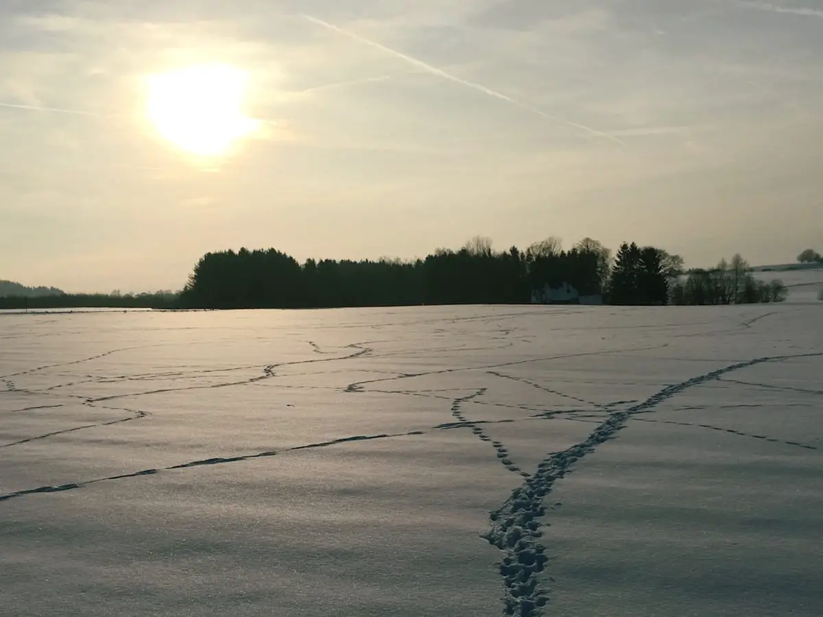 Verschneite Landschaft im Winter mit Spuren im Schnee bei Sonnenuntergang
