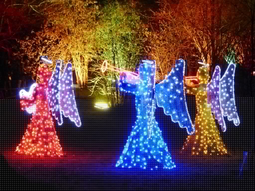 Im Christmas Garden Berlin schmücken drei beleuchtete Engelsfiguren den Botanischen Garten. Ein roter Engel steht links, ein blauer dominiert die Mitte und ein gelber Engel erhellt die rechte Seite. Jeder Engel hält eine Trompete in der Hand, vor der faszinierenden Kulisse beleuchteter Bäume.