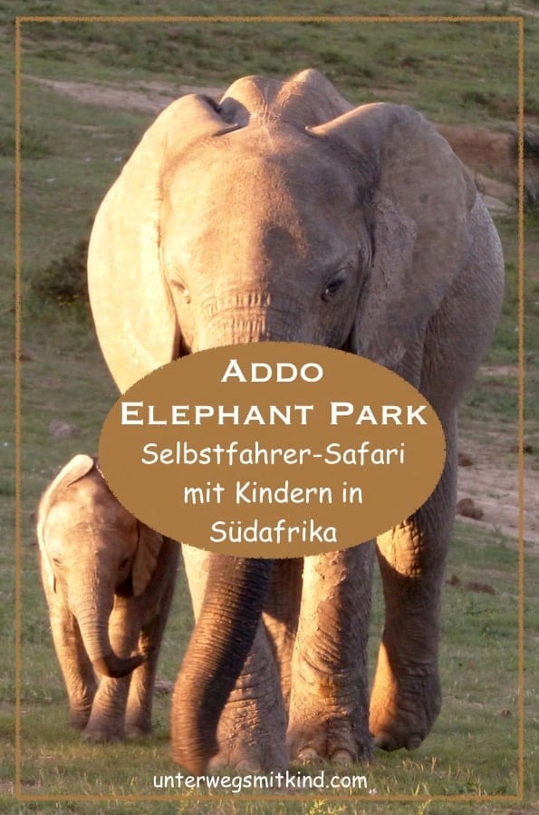 Addo Elephant Park Südafrika - Pin