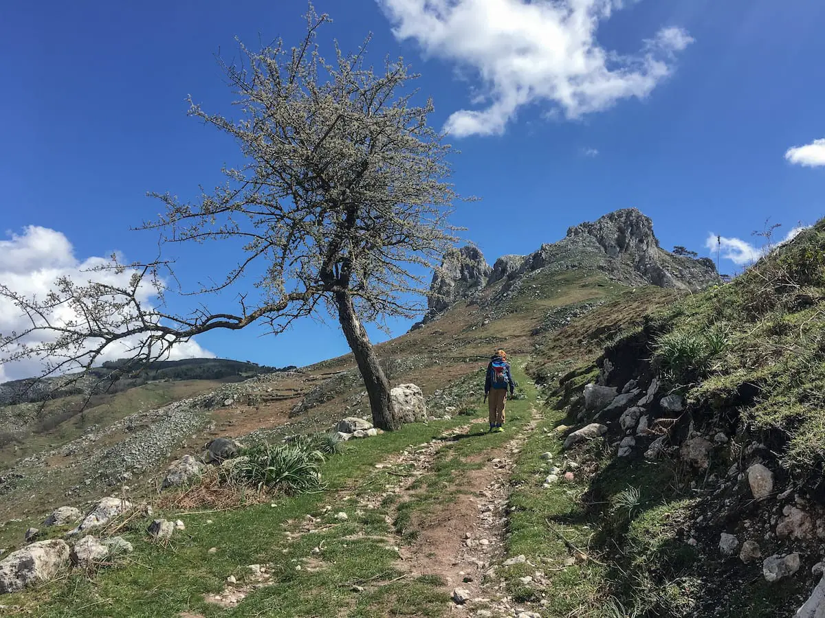 Wandern auf Sizilien mit Kindern im Peloritani Gebirge