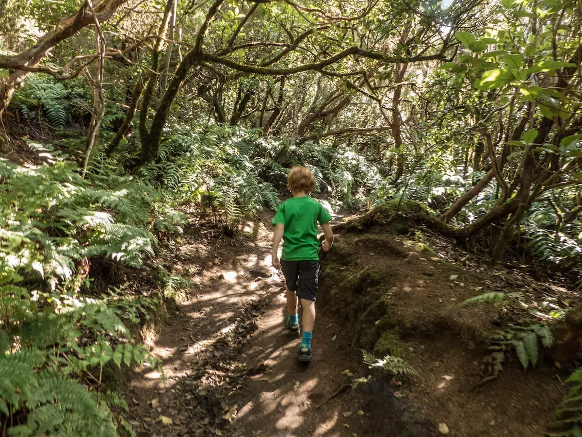 Wandern auf Teneriffa mit Kindern - Anaga Gebirge3