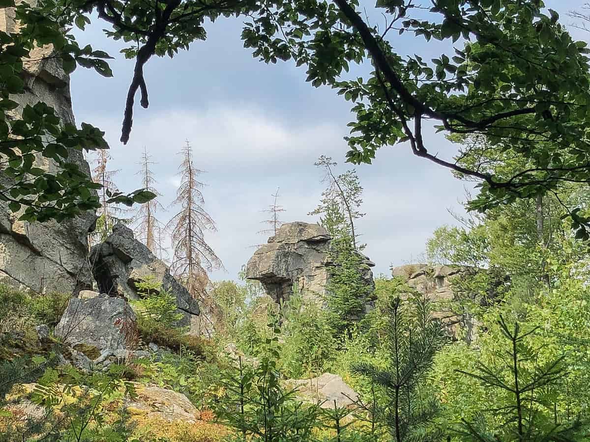 Steinwaldsphinx hinter Bäumen - Granitblöcke im Oberpfälzer Wald